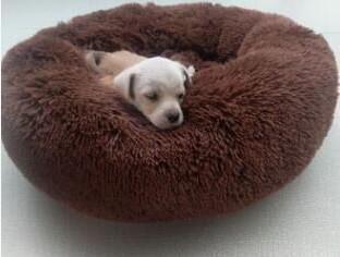 Soothing Pet Bed-Maxx Urban